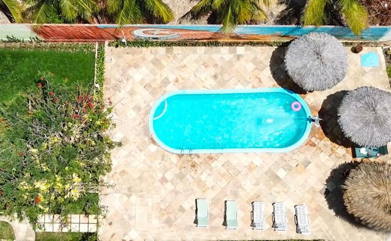 Inn Iguana